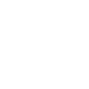 Icon-4
