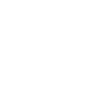 Icon-5
